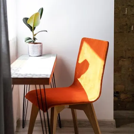 Boutiq - - Bruninieku Apartament *